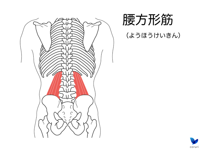 f:id:coruri:20150203155800p:plain