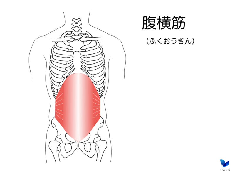 f:id:coruri:20150203160325p:plain