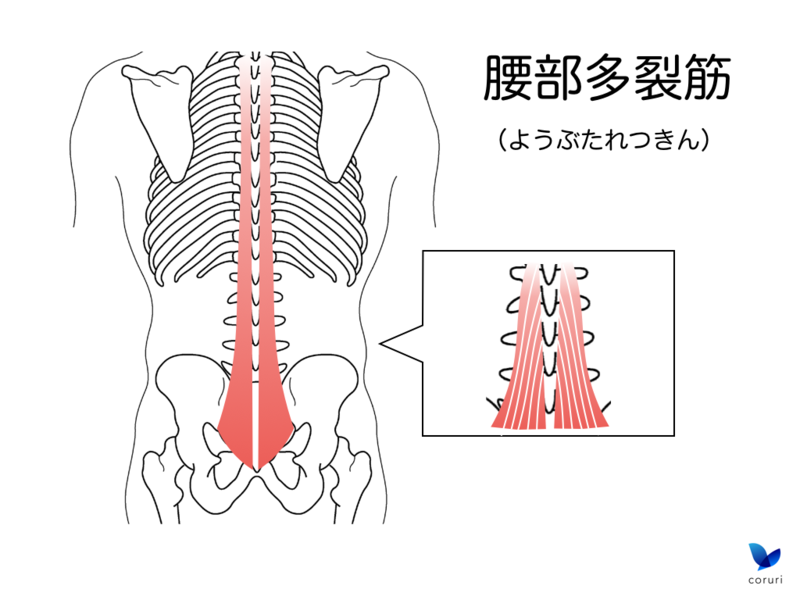 f:id:coruri:20150203161245p:plain