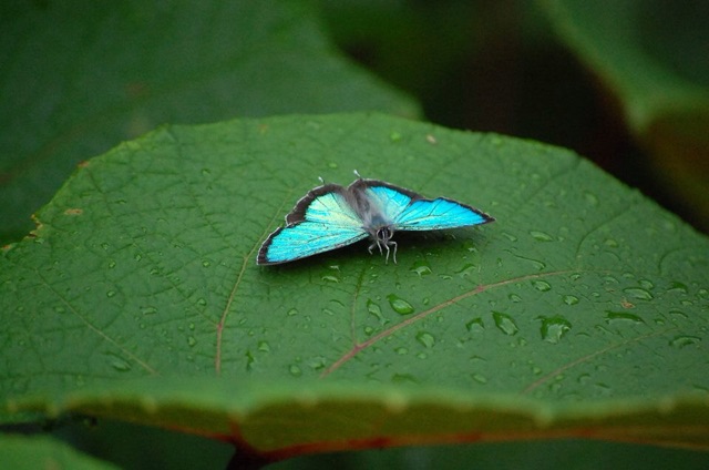 f:id:coruri:20150401204505j:plain