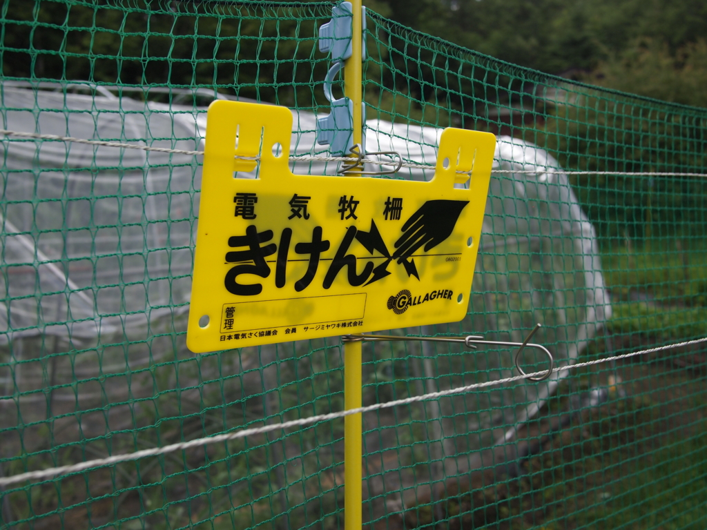 f:id:coruri:20150717091909j:plain
