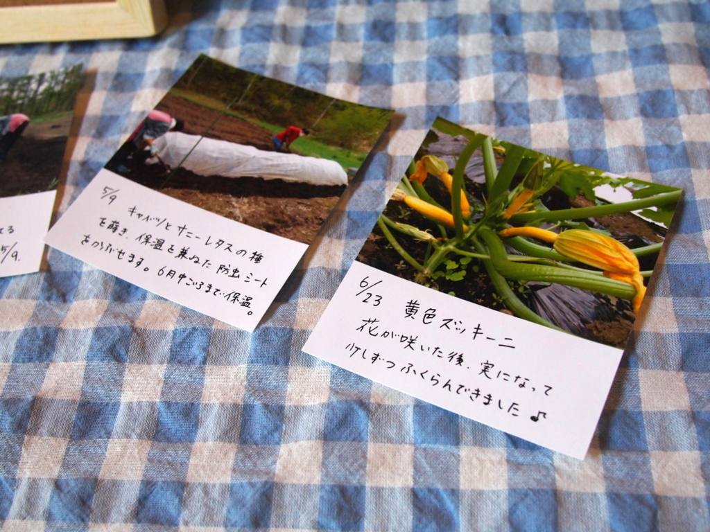 f:id:coruri:20150717101539j:plain