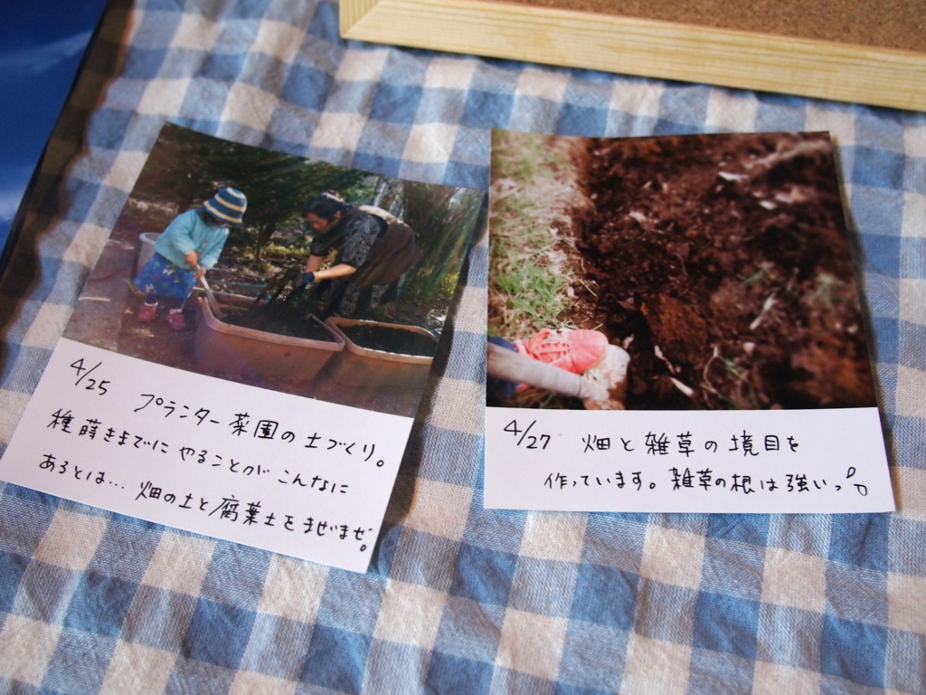 f:id:coruri:20150717101546j:plain