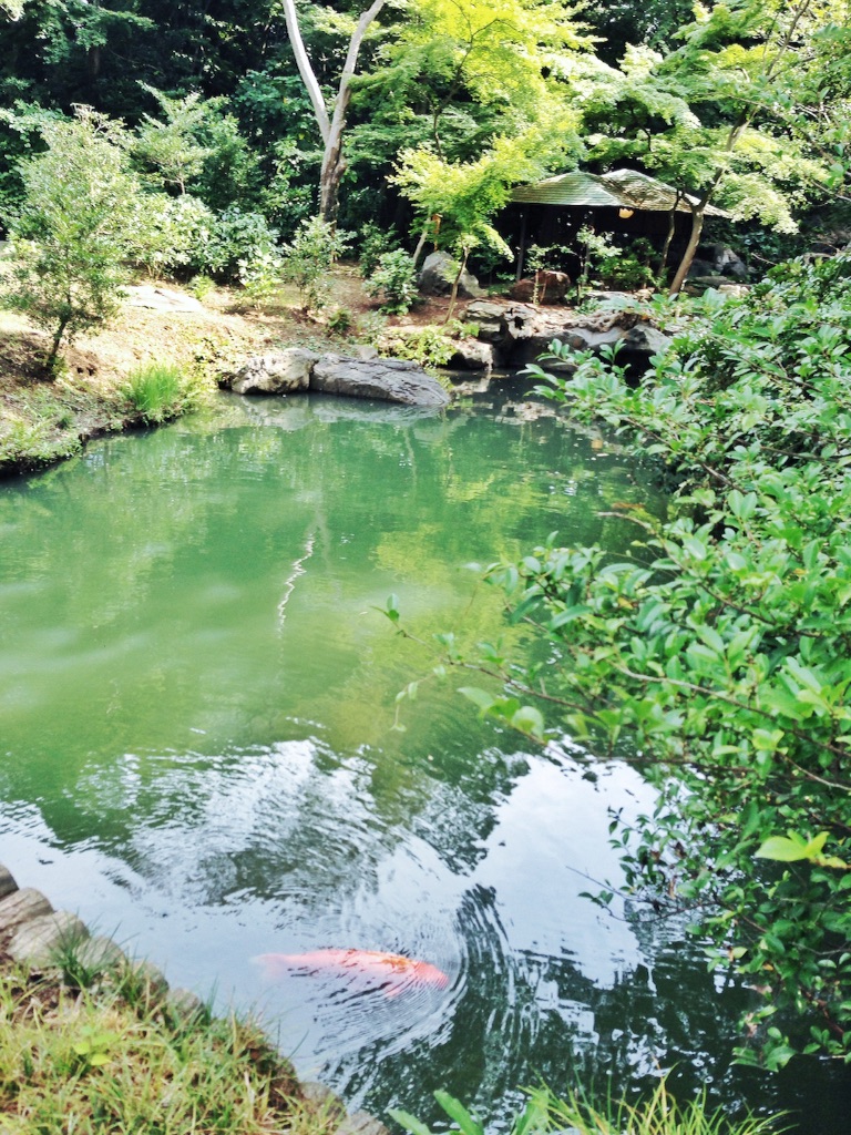 f:id:coruri:20150903211100j:image