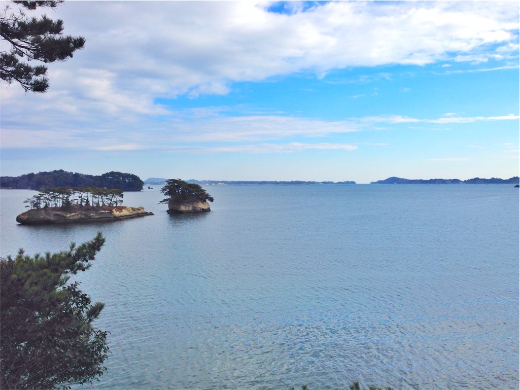 f:id:coruri:20151231213515j:image