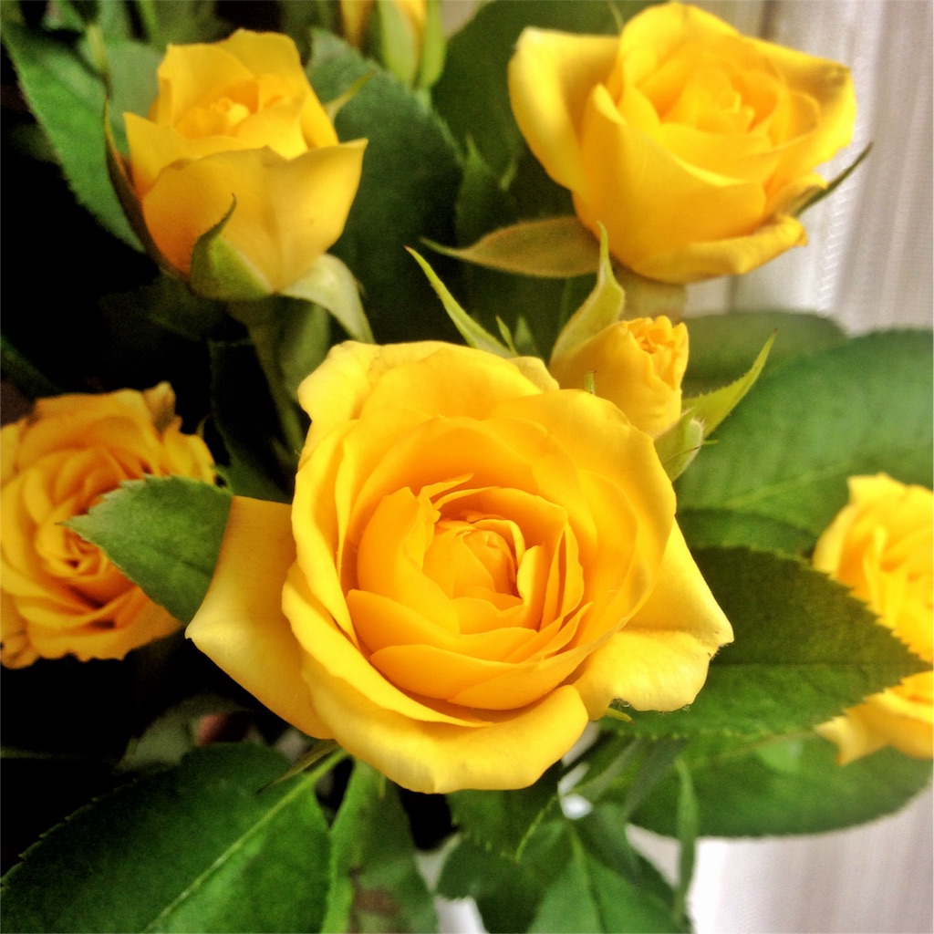 f:id:coruri:20160113003246j:image