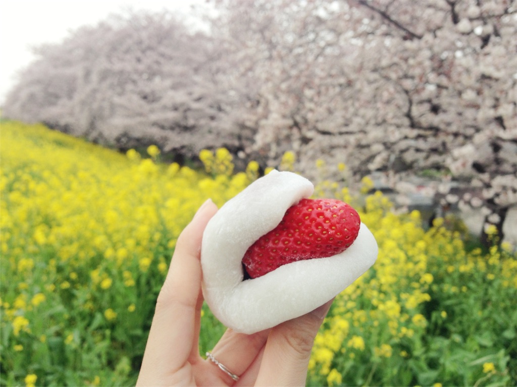 f:id:coruri:20160404205220j:image