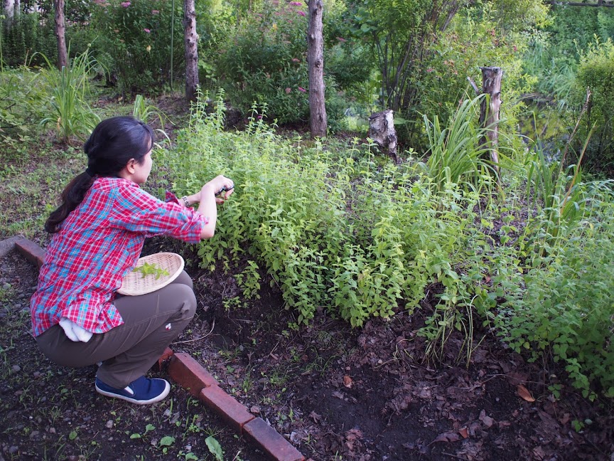 f:id:coruri:20160810120110j:plain