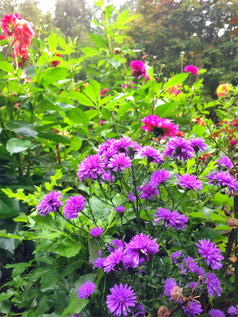 f:id:coruri:20160919114426j:image