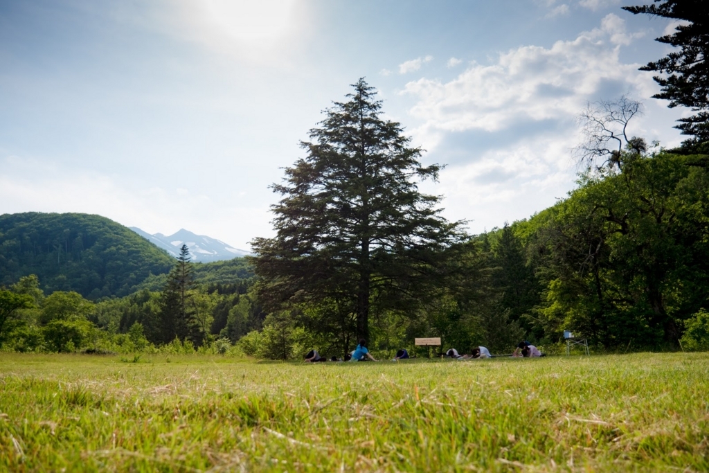 f:id:coruri:20170720170127j:plain f:id:coruri:20170720170127j:plain
