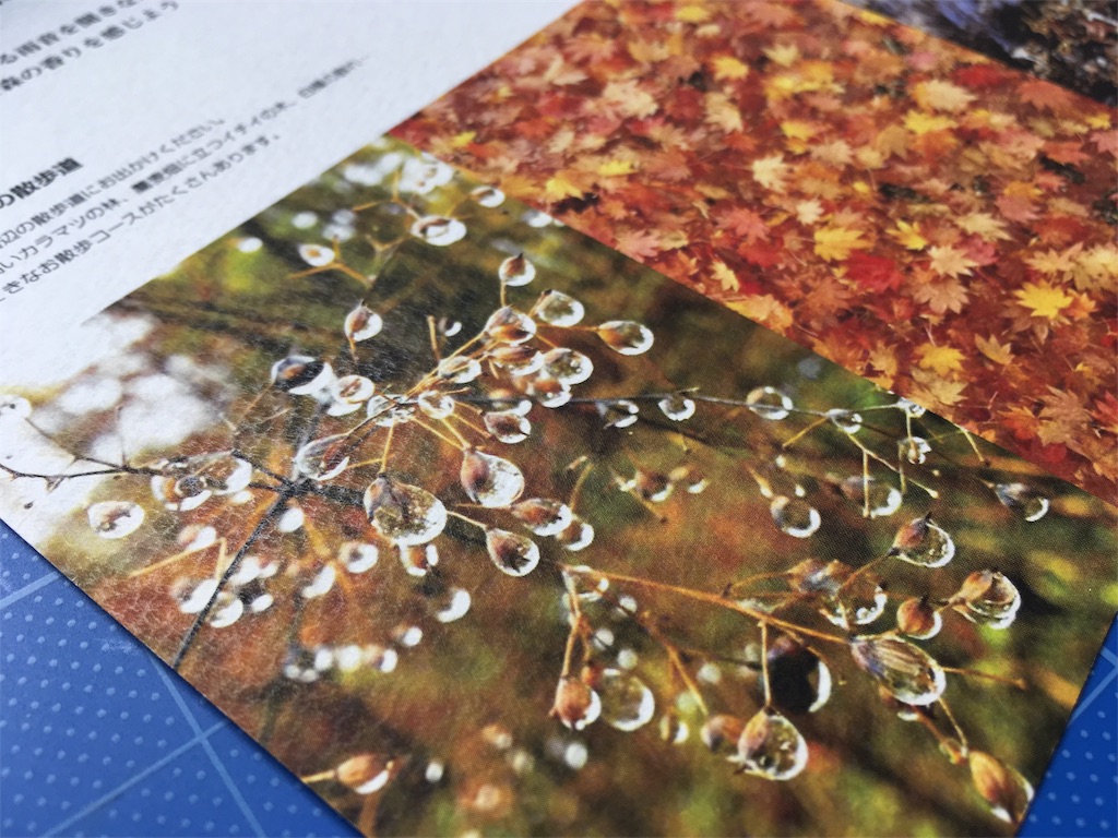 f:id:coruri:20171106190219j:image