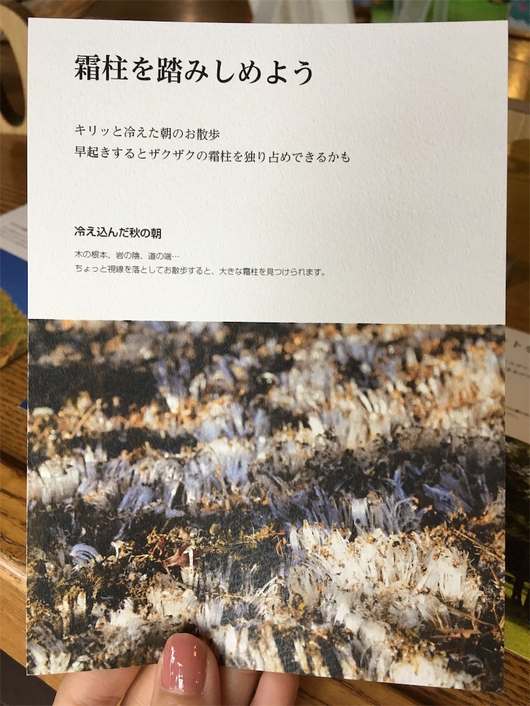 f:id:coruri:20171106190335j:image