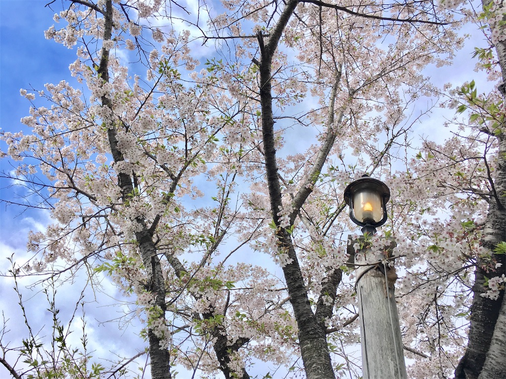 f:id:coruri:20180510090507j:image