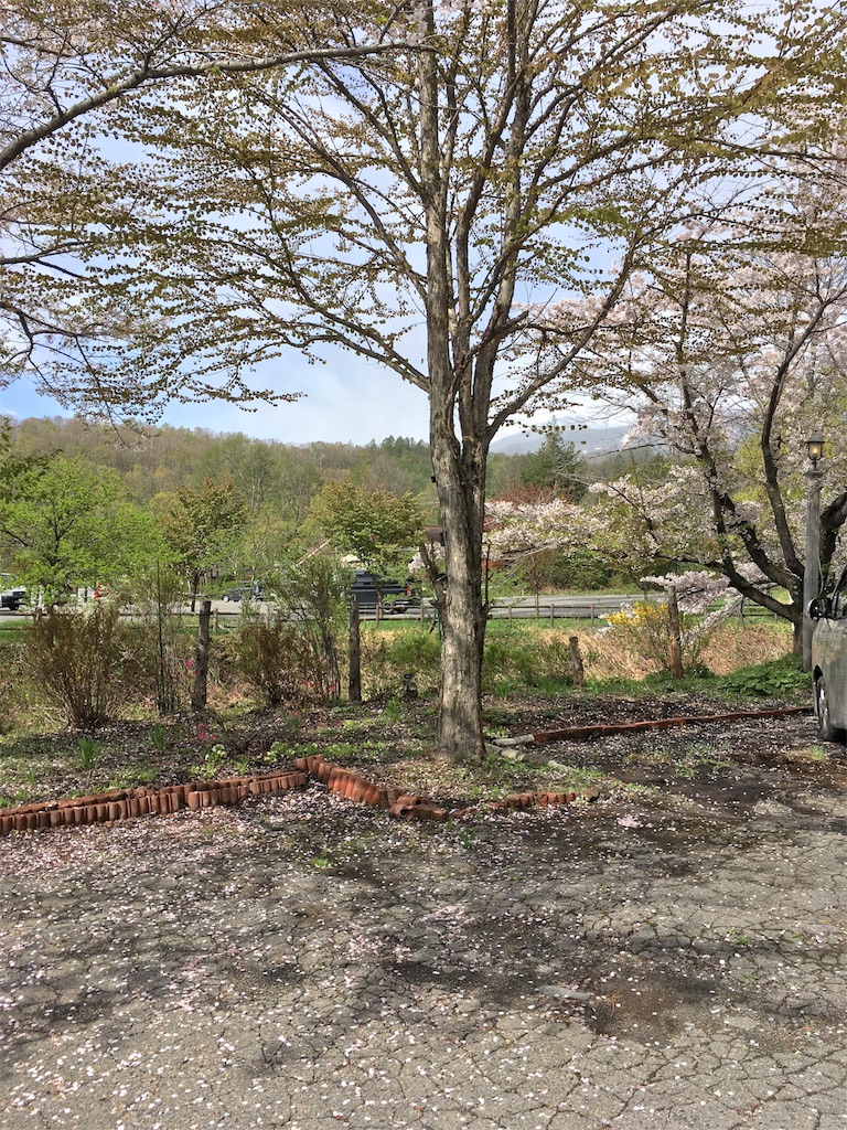 f:id:coruri:20180510090632j:image