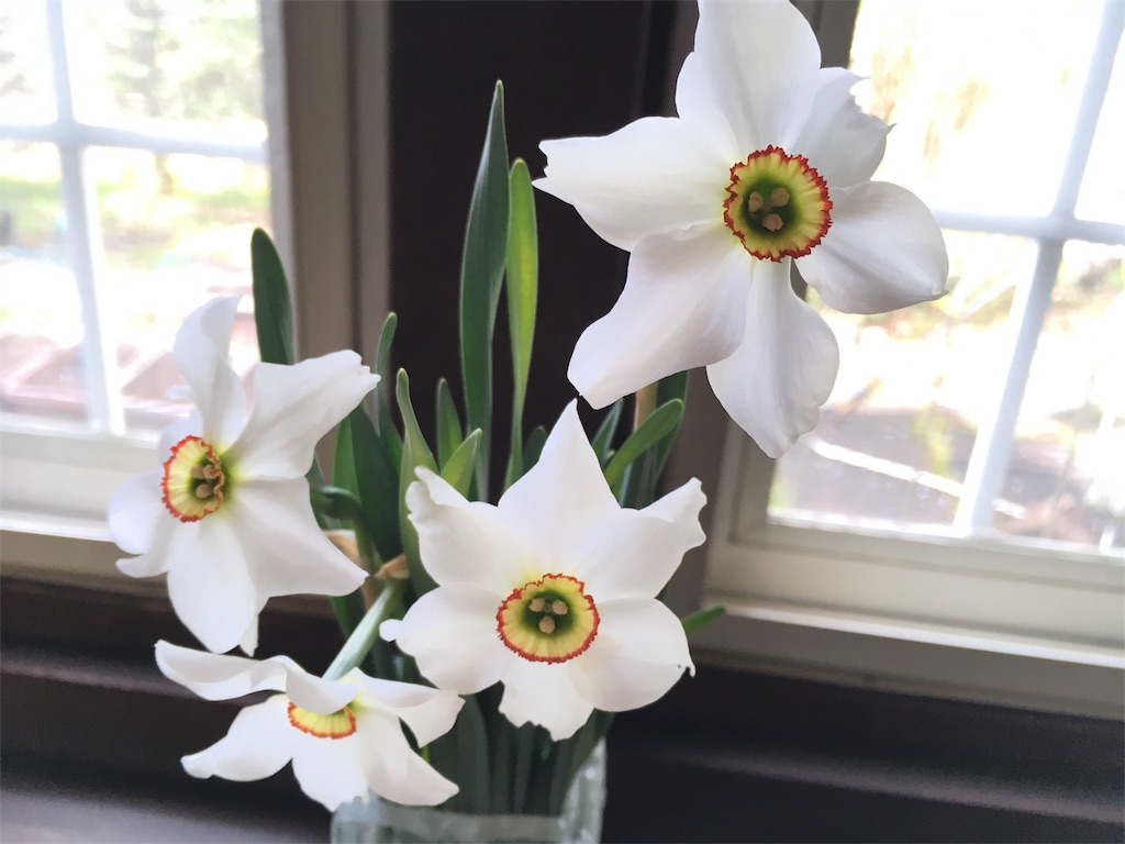 f:id:coruri:20180510090658j:image