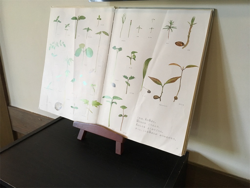 f:id:coruri:20180510090705j:image