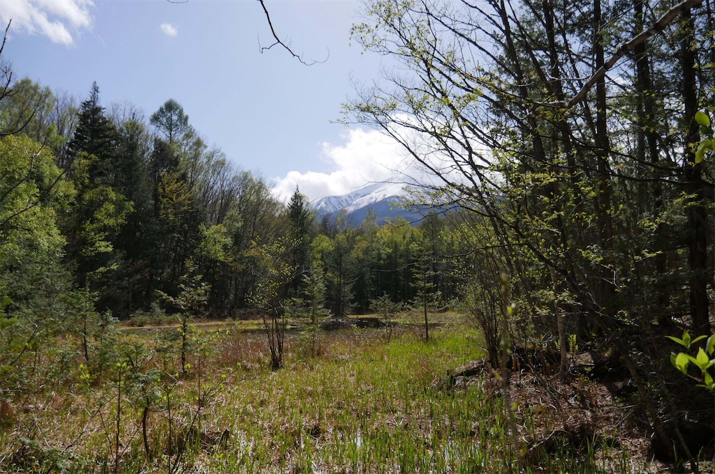 f:id:coruri:20180511101959j:image