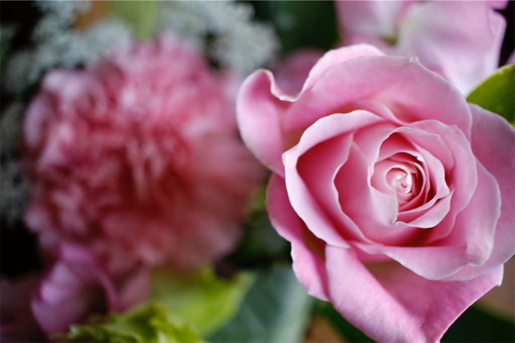 f:id:coruri:20180906164042j:image