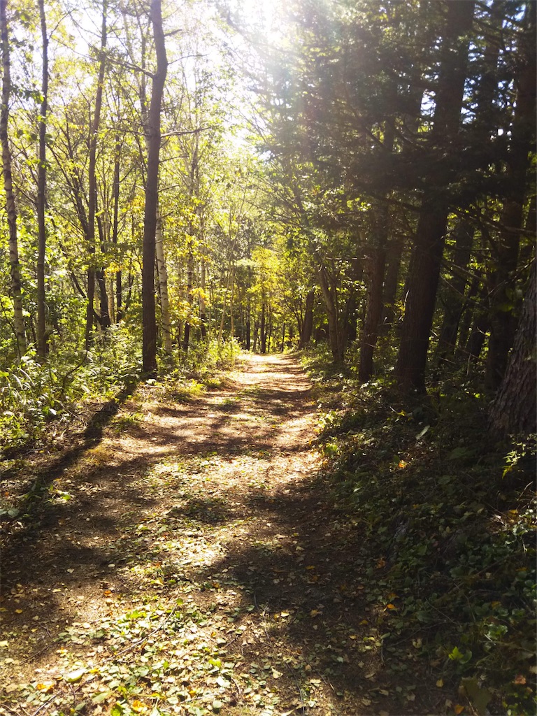 f:id:coruri:20180926094101j:image