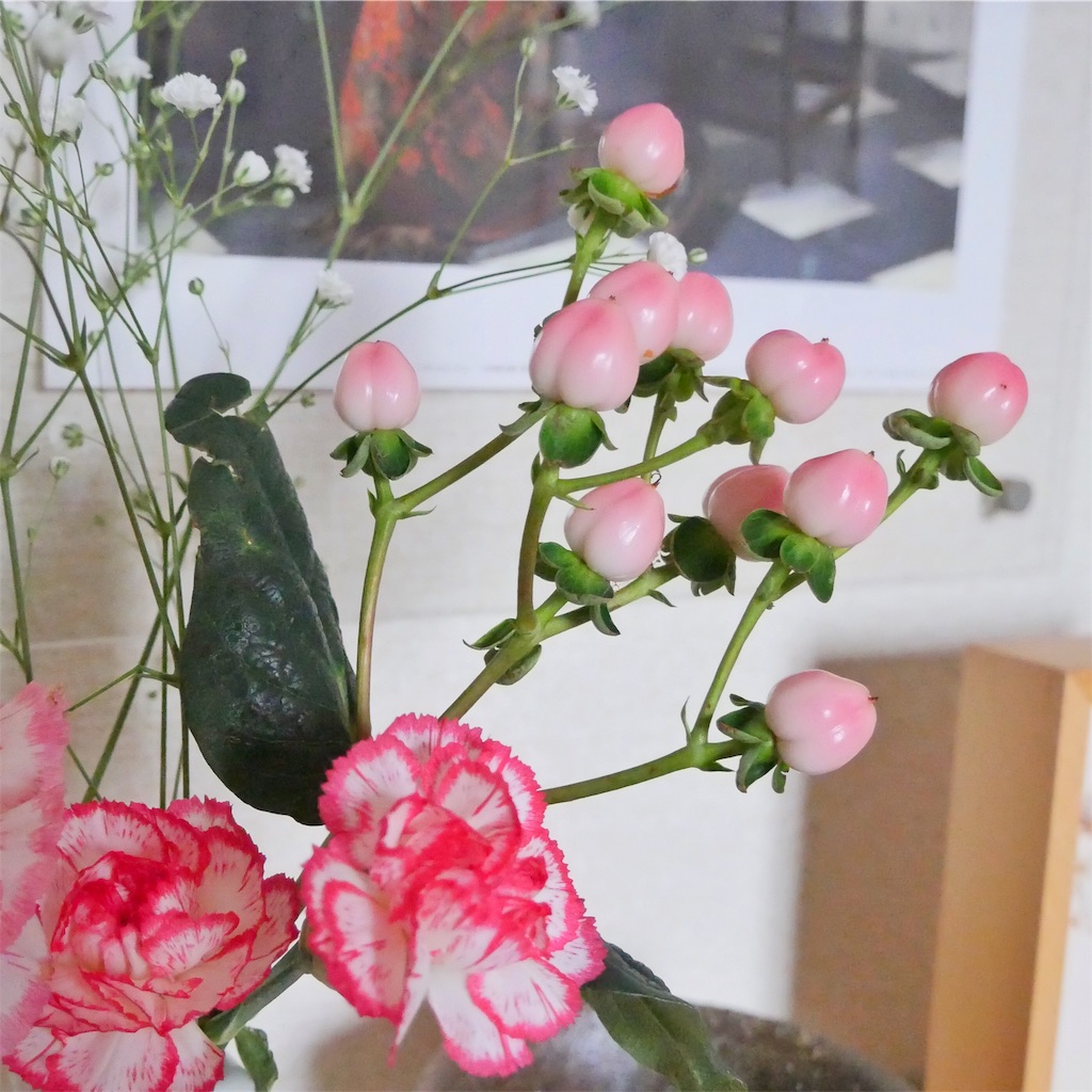 f:id:coruri:20190210014205j:image