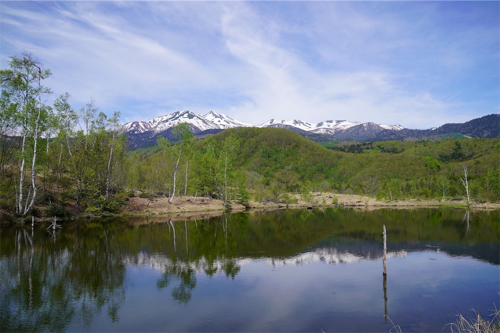 f:id:coruri:20190527200511j:image