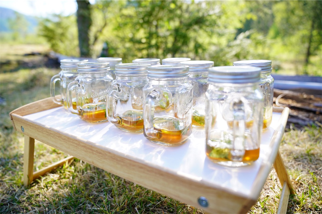 f:id:coruri:20190529095411j:image