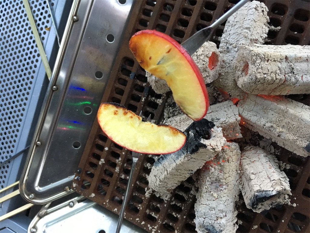 f:id:coruri:20190529101242j:image