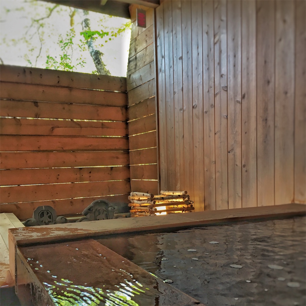 f:id:coruri:20190529101502j:image