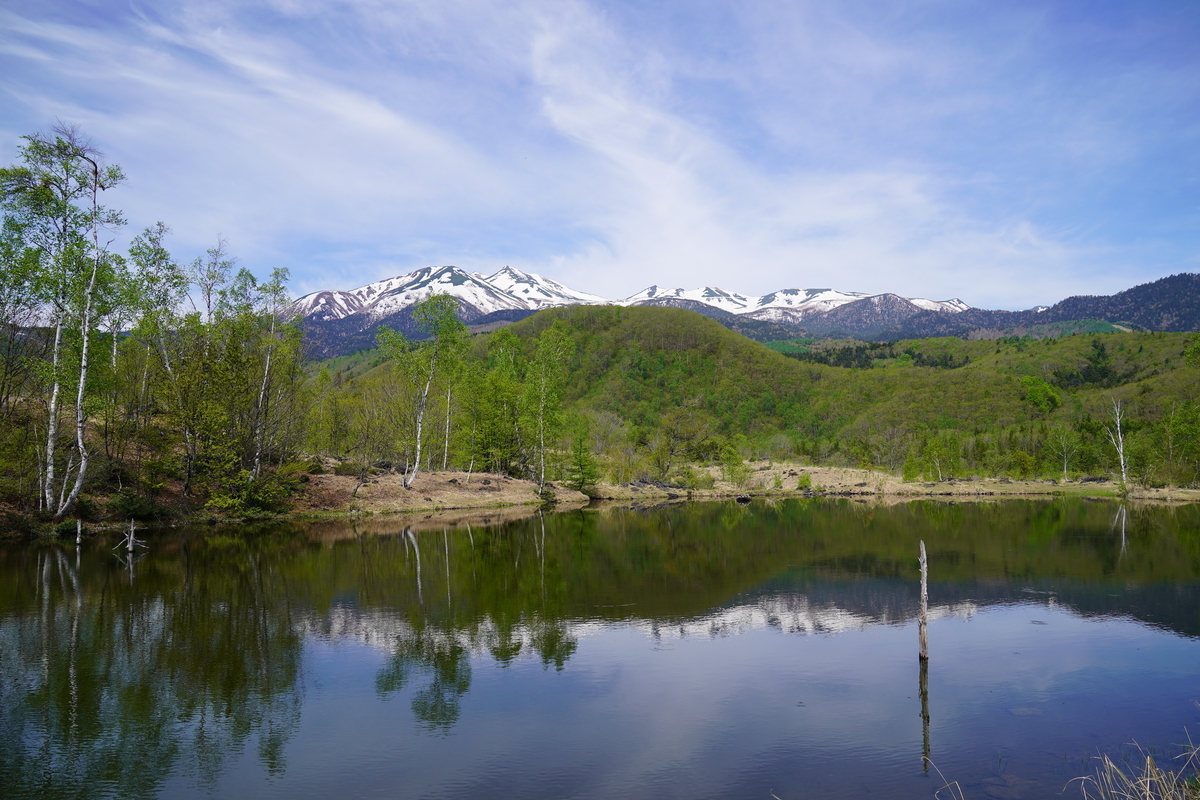f:id:coruri:20190608151936j:plain