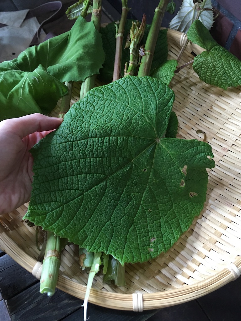 f:id:coruri:20190619180756j:image