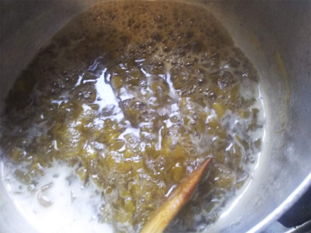 f:id:coruri:20190619190036j:image