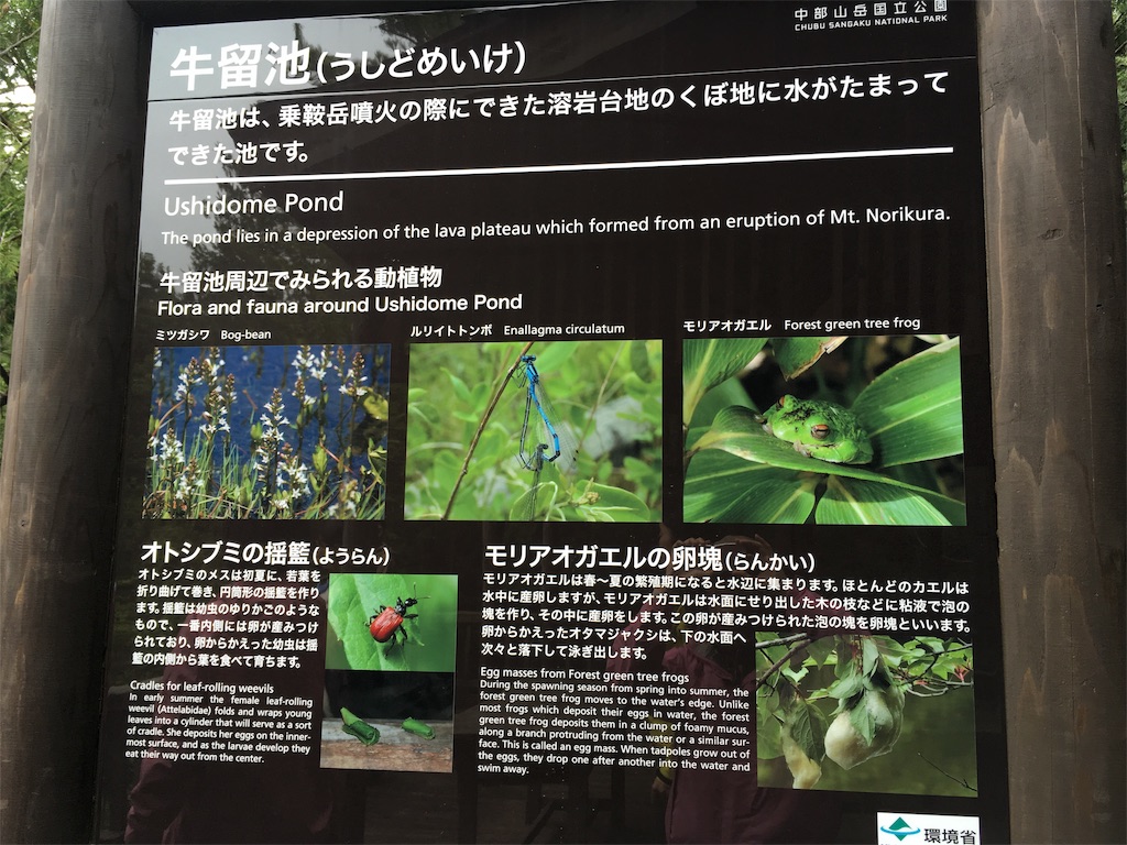 f:id:coruri:20190715183418j:image