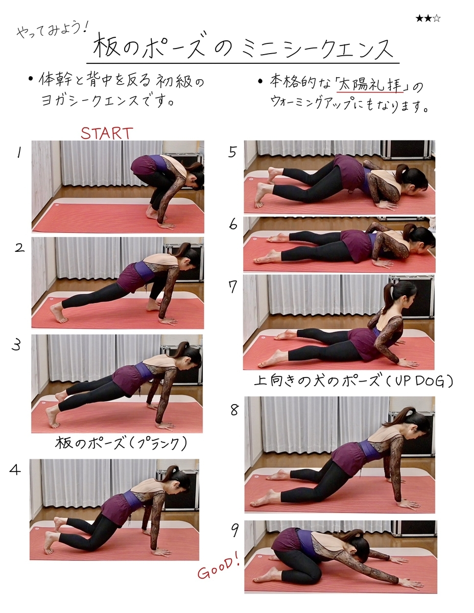 ヨガノート 9 板のポーズ プランク Plank 体幹と二の腕を引き締める テキストpdf印刷ok バレエヨガインストラクター三科絵理のブログ