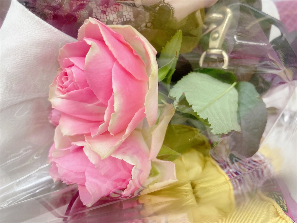 f:id:coruri:20210319011829j:plain