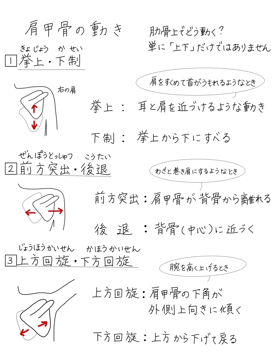 肩をすくめるポーズ