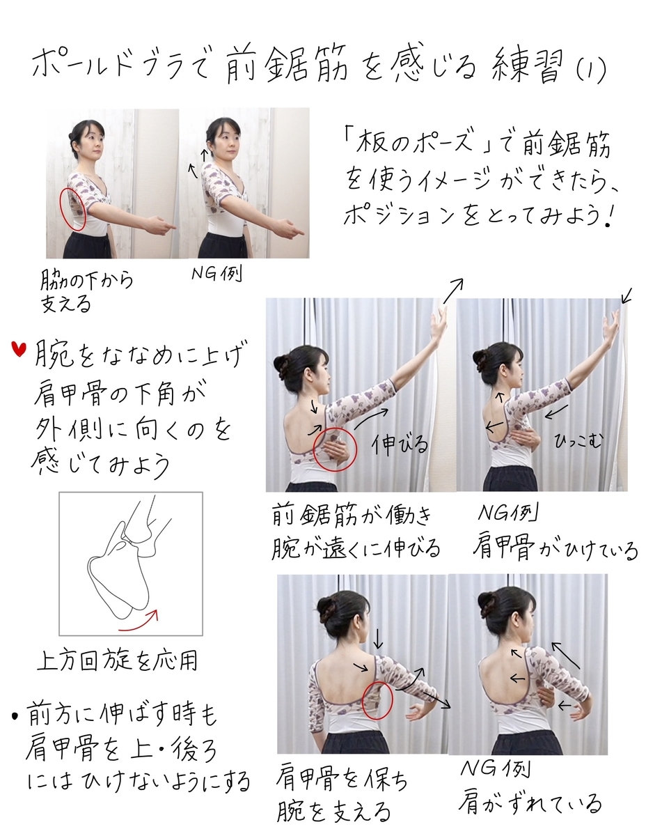 バレエノート 10 腕を上げても肩がすくまない 肩甲骨の 上方回旋 とは テキストpdf印刷ok バレエヨガインストラクター三科絵理のブログ バレエノート 10 腕を上げても肩がすくまない 肩甲骨の 上方回旋 とは テキストpdf印刷ok バレエヨガインストラクター三科絵理のブログ