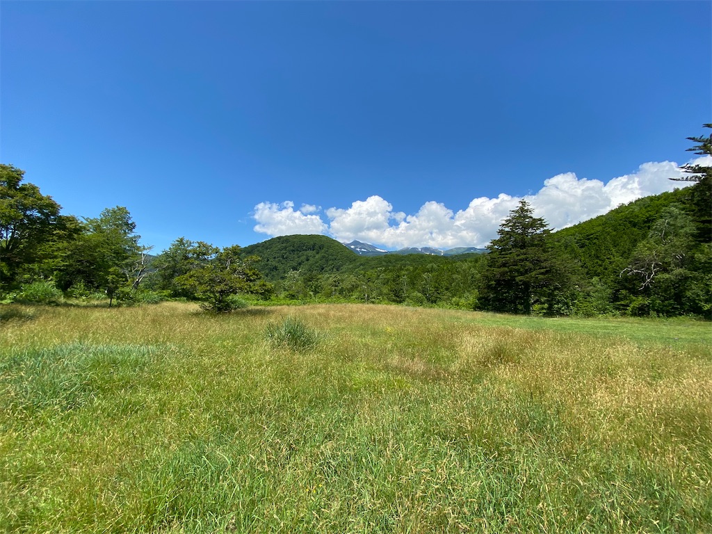 f:id:coruri:20210809000020j:plain