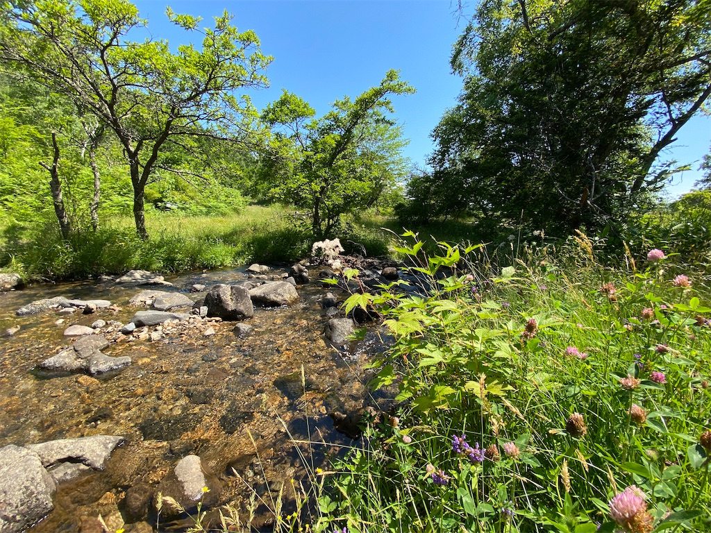 f:id:coruri:20210809000038j:plain