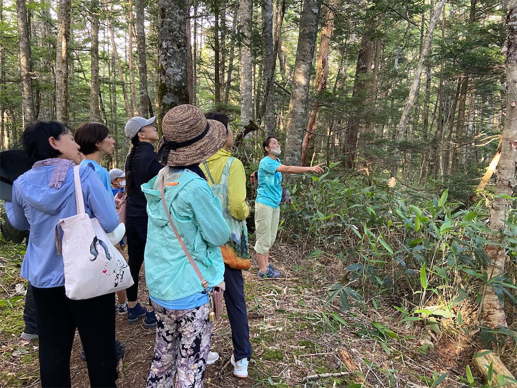 f:id:coruri:20210809000125j:plain