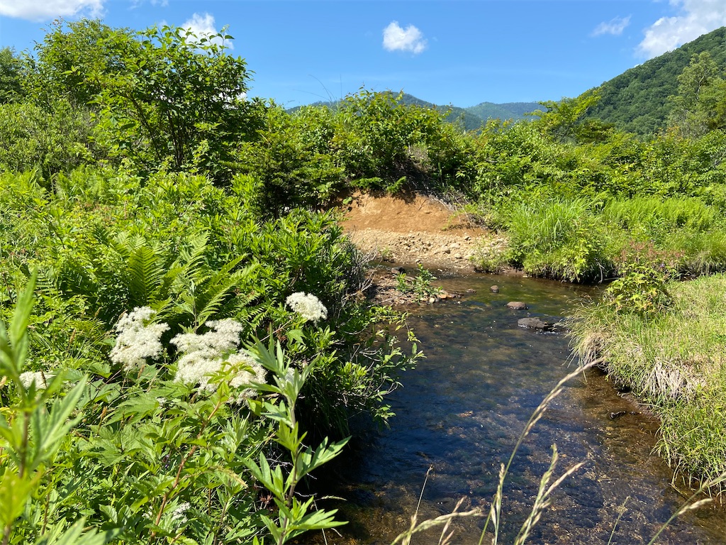 f:id:coruri:20210809000136j:plain