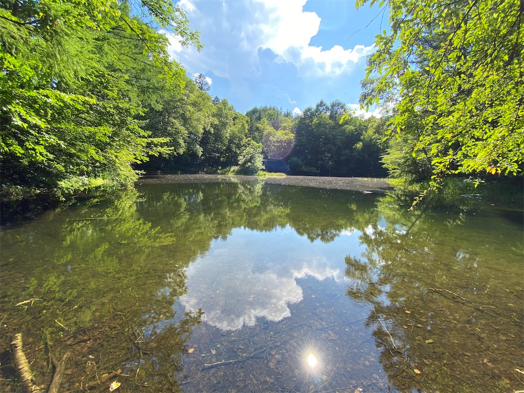 f:id:coruri:20210809000146j:plain