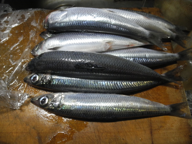 f:id:corydalis:20161114233406j:image:w400 f:id:corydalis:20161114233406j:image:w400