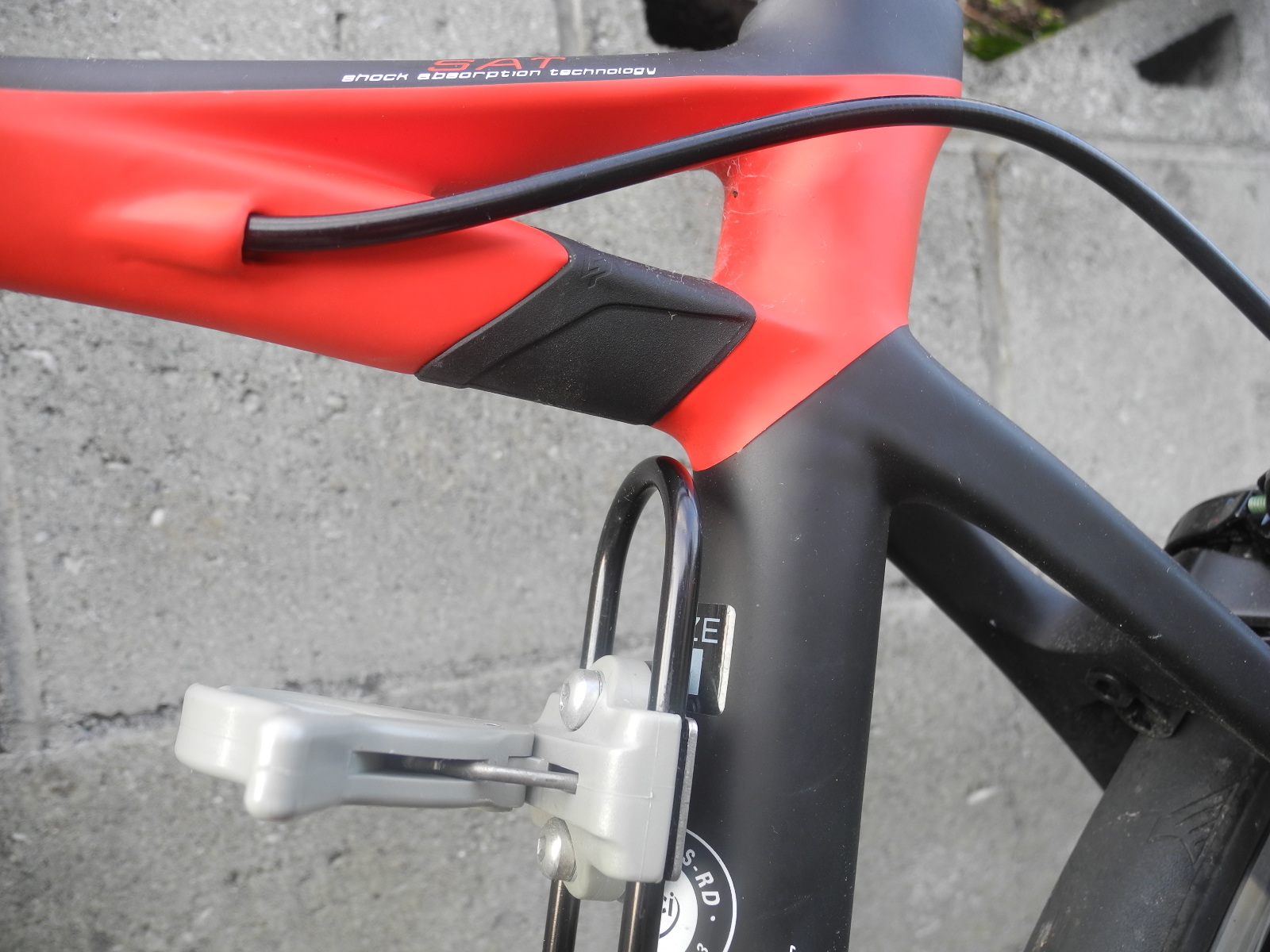 f:id:corydalis:20190801183445j:plain f:id:corydalis:20190801183445j:plain