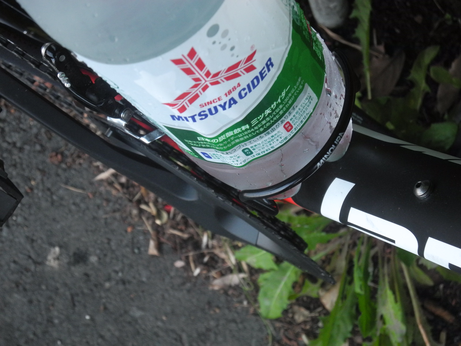 f:id:corydalis:20190801185738j:plain f:id:corydalis:20190801185738j:plain