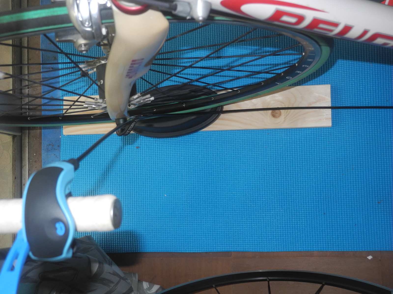 f:id:corydalis:20190902092227j:plain f:id:corydalis:20190902092227j:plain