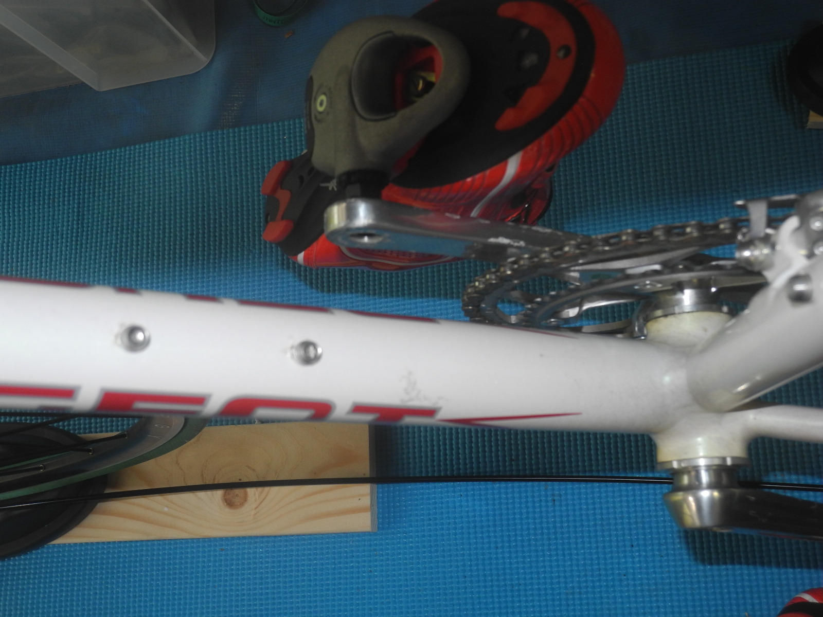 f:id:corydalis:20190902092250j:plain f:id:corydalis:20190902092250j:plain