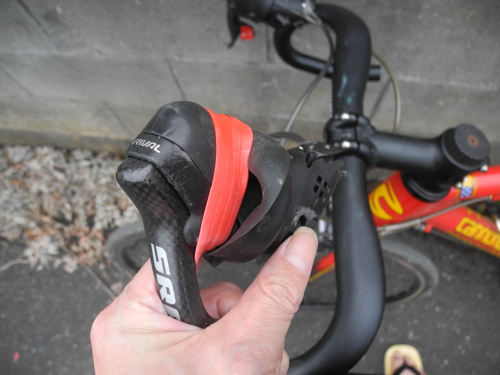 f:id:corydalis:20200503173743j:plain f:id:corydalis:20200503173743j:plain