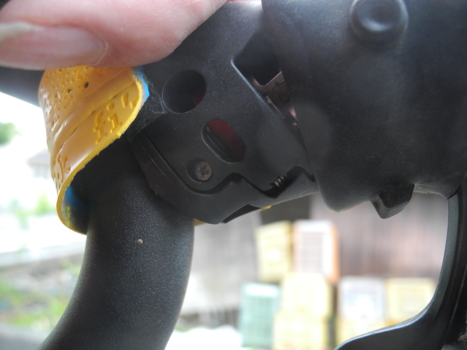 f:id:corydalis:20200503180332j:plain f:id:corydalis:20200503180332j:plain