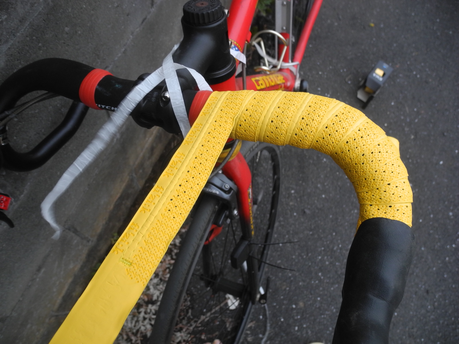 f:id:corydalis:20200503181339j:plain f:id:corydalis:20200503181339j:plain