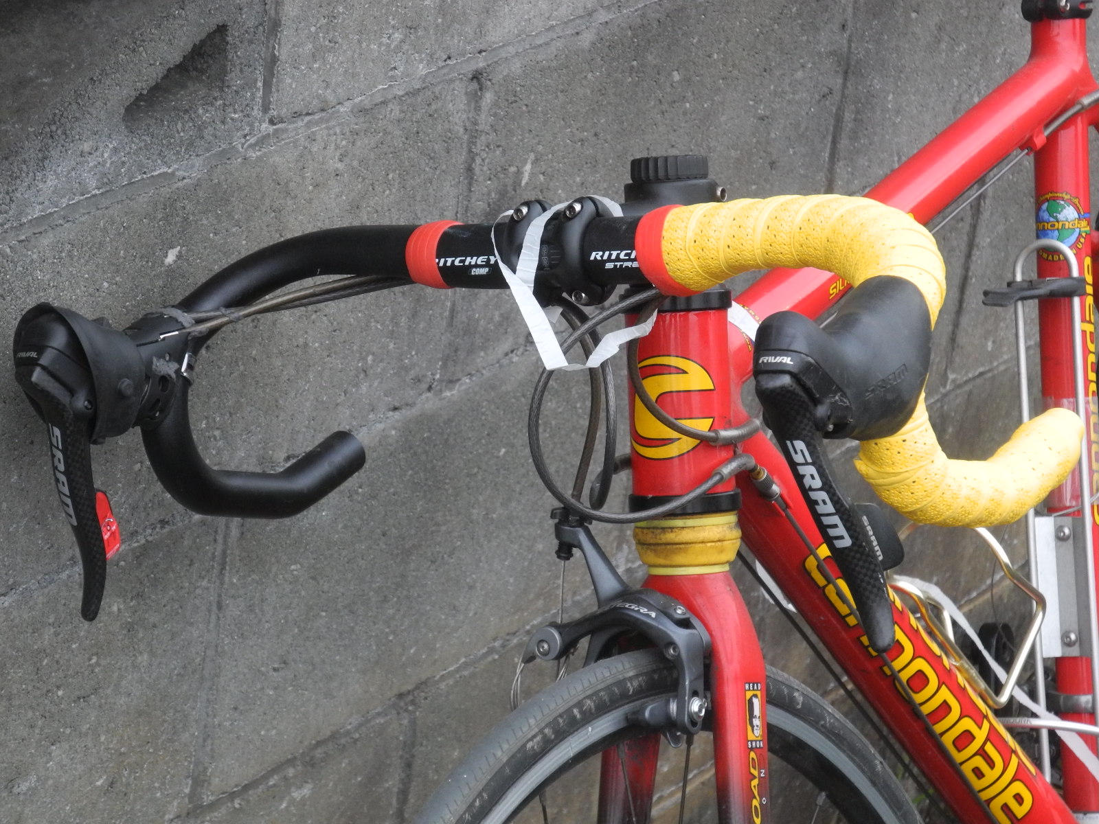 f:id:corydalis:20200503181701j:plain f:id:corydalis:20200503181701j:plain